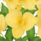 Yellow swatch