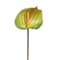 Green swatch