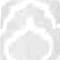 White swatch