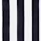Black & White swatch