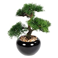 Bonsai Tree Plant with Black Ceramic Planter, 14.5"