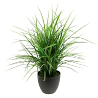 Grass Plant with Black Planter, 20"