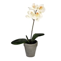 White Orchid Flower with Grey Planter, 13"