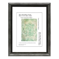 Miranda Silver & Black Poster Wall Frame, 18x24
