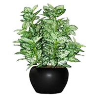 Potted Greenery Plant, 10"