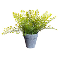 Honeybloom Faux Maidenhair Fern in Grey Ceramic Pot