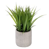Grass Plant with Grey Planter, 8"