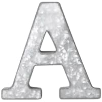 12" Galvanized Metal Monogram Wall Art, A
