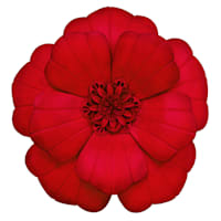 Red Metal Flower Wall Decor, 12"