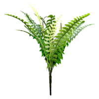 Boston Fern Bush, 19"