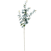 Eucalyptus Stem, 42"