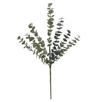 Eucalyptus Spray, 23"