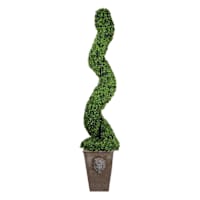 Providence Boxwood Spiral Topiary with Romanesque Planter, 67"