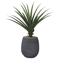 Aloe Vera with Textured Black Planter, 41"
