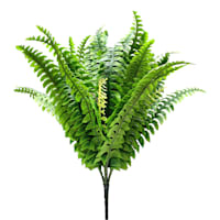 Boston Fern Bush, 30"