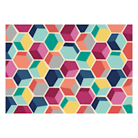 (D392) Hexagon Geometric Multicolor Colored Printed Accent Rug with Non-Slip Back, 2x4