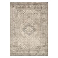 (B500) Xander Distress Look Ivory & Tan Area Rug, 5x7