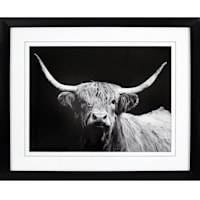 Glass Framed Highland Cow Matted Wall Art, 16x20