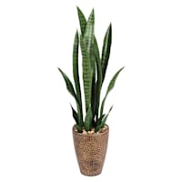 Snake Plant with Metal Planter, 33"