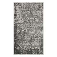 (B528) Holden Abstract Gray Accent Rug, 3x5