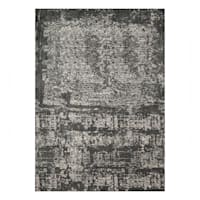 (B528) Holden Abstract Gray Area Rug, 7x10