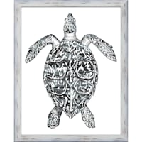 22X28 Coast Turtle Framed Art