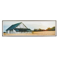 69X20 Framed Wood Art