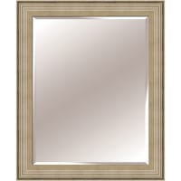 Beaded Champagne & Silver Wood Framed Rectangle Wall Mirror, 28x34
