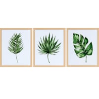 3-Piece 15X18 Palm Sketch Framed/Glass Art Set