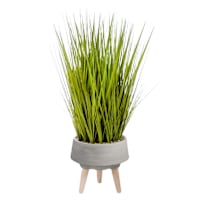 Found & Fable Green Grass Bundle with Cement Pot, 34"
