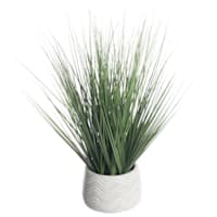 Onion Grass Plant with Cement Planter, 16"