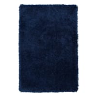 Accent Mixed Blue Long Pile Shag, 2x4