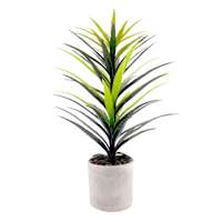 Yucca Tree with Cement Planter, 42"