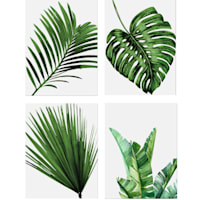 4-Piece Leaves Collection Canvas Wall Art, 8x10
