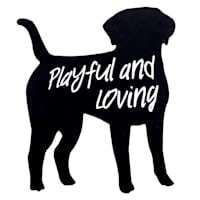 Playful & Loving Dog Shaped Wooden Wall Art, 10x8