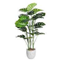 Monstera Tree with Grey Tribal Planter, 46"