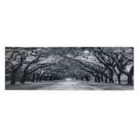 Oak Tree Path Canvas Wall Art, 60x20