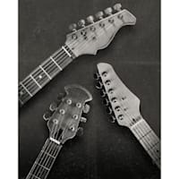 Vintage Guitar Necks Canvas Wall Art, 16x20