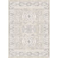 (D452) Shaydon Grey & Multicolor Woven Area Rug, 5x7