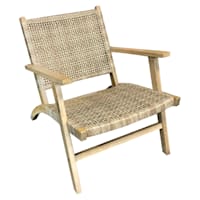 Delia All-Weather Wicker & Acacia Wood Outdoor Lounge Chair