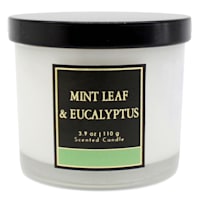Mint Leaf & Eucalyptus Scented Jar Candle, 3.9oz