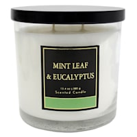 Mint Leaf & Eucalyptus Scented Jar Candle, 13.4oz
