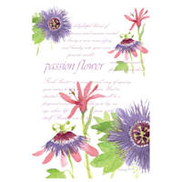 3-Pack Passion Flower Scented Sachets