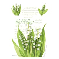 3-Pack Lily of The Valley Scented Sachets