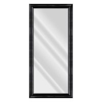 Sophia Black Beveled Leaner Mirror, 31x65
