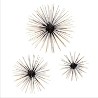 3-Piece Black with Gold Tip Urchin Wall Art Set
