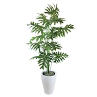 Tropical Leaf Plant with White Planter, 6.5'