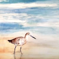 Speckled Willet Canvas Wall Art, 12"