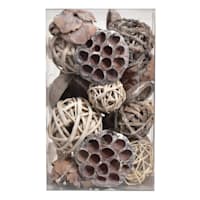 Exotic Lotus Dried Bowl Filler