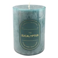 Fig Eucalyptus Scented Pillar Candle, 3x4